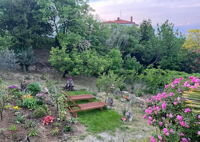 Apartment Vella