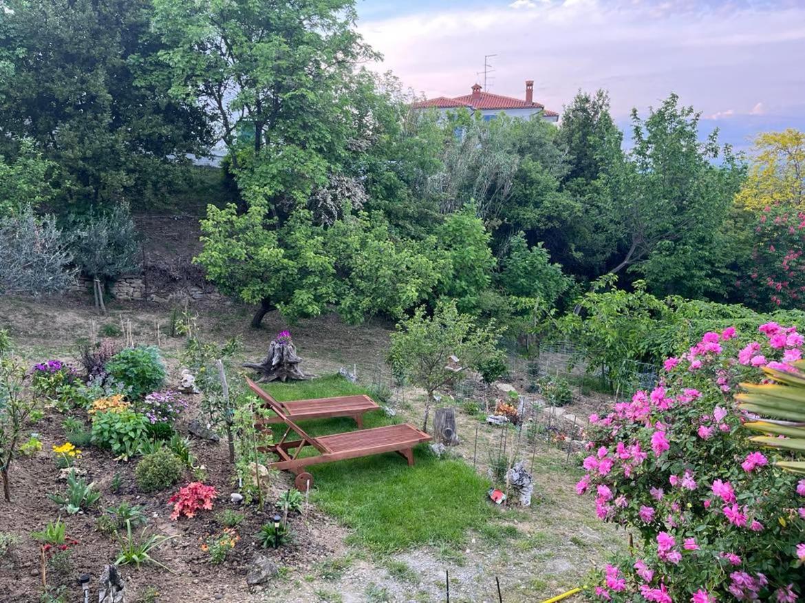 Vella